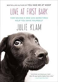 Donation by Julie Klam