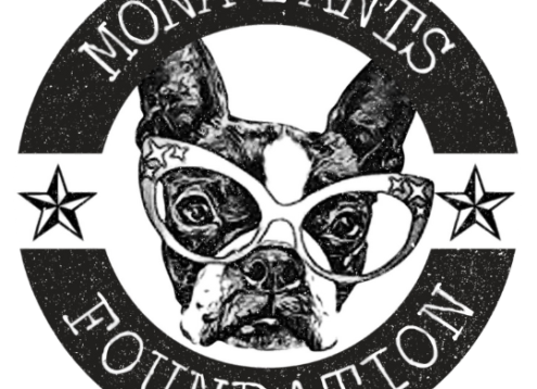 Mona Pants Foundation