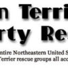 Thanks Boston Terrier Tea Party Rescue