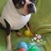Christa Easter Candy Sale