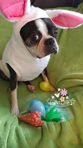Traci’s Easter Candy Sale