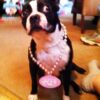 In Memory of Ellie Mae