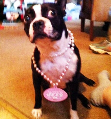 In Memory of Ellie Mae