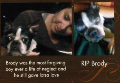 In Memory of Brody