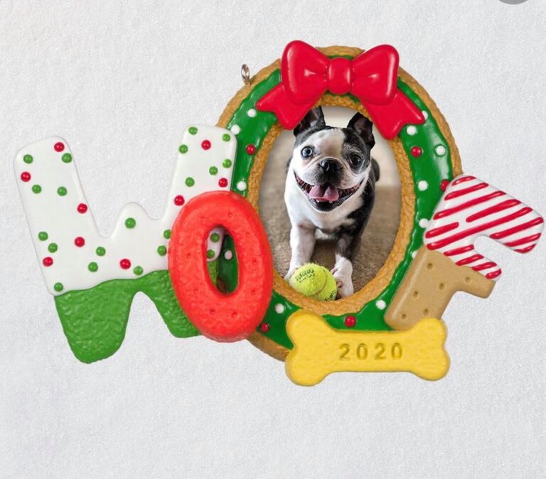 Foster Max Featured by Hallmark