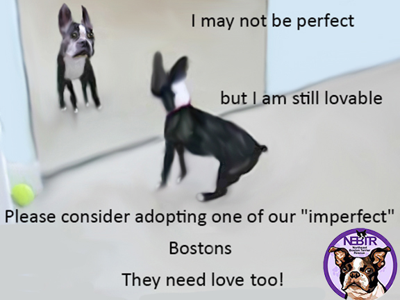 Imperfect Boston